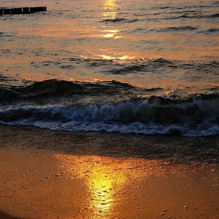 Apartmán Bruno Mare *