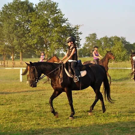 Bruno Mare Apartman Bobolin