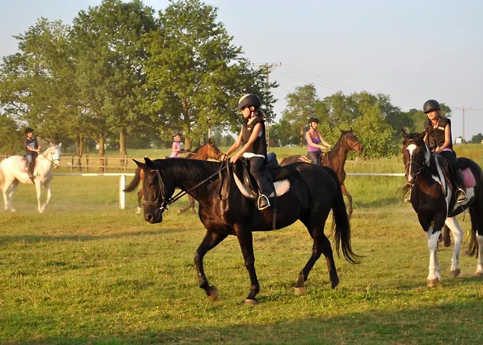 Bruno Mare דירה בובולין
