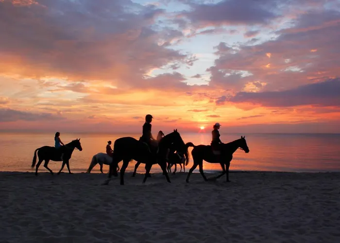 Bruno Mare דירה *